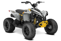 The Can-Am Renegade